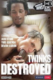 Twinks Destroyed film afişi