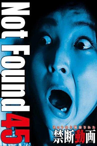 Not Found 45 film afişi