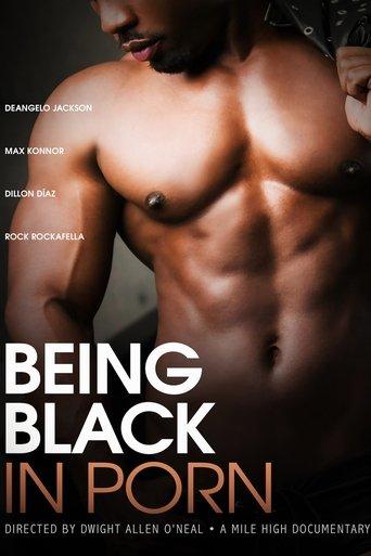 Being Black in Porn film afişi