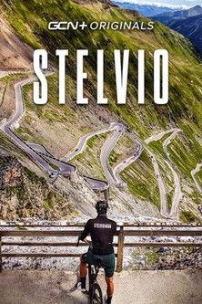 Stelvio film afişi