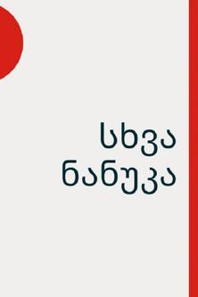 სხვა ნანუკა dizi afişi