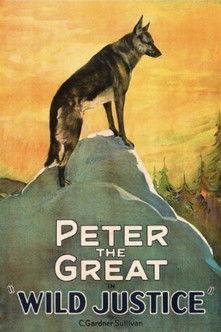 Wild Justice film afişi