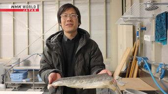 Fish Leather Maker - Noguchi Tomohisa