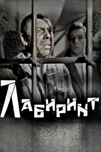 Labyrinth film afişi