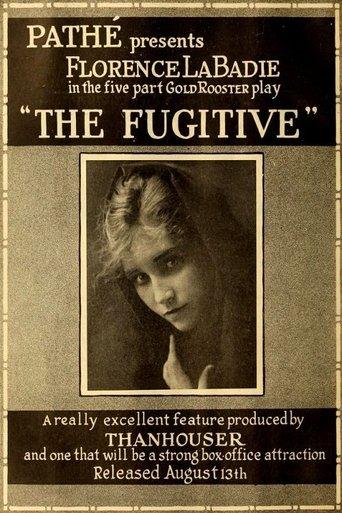 The Fugitive film afişi
