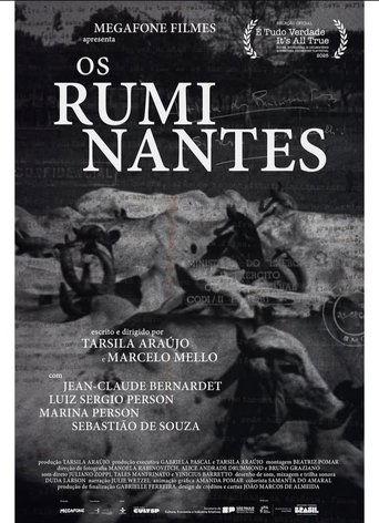 Os Ruminantes film afişi