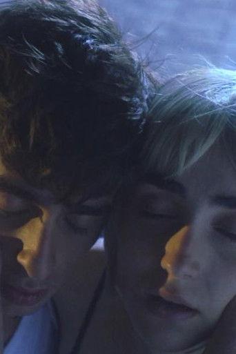 The Cities of My Youth film afişi