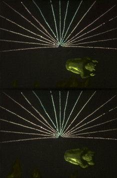 Fantaisies endiablées film afişi