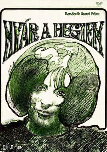 Summer on the Hill film afişi