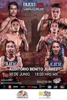 Budo Sento Championship 15 film afişi