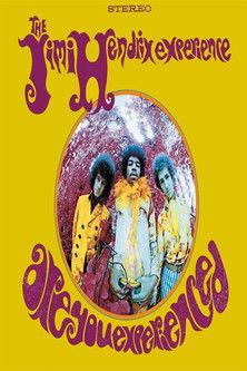 Are You Experienced film afişi
