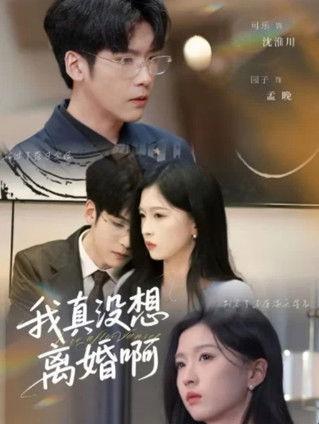 我真没想离婚啊 dizi afişi