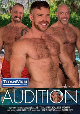 Audition film afişi