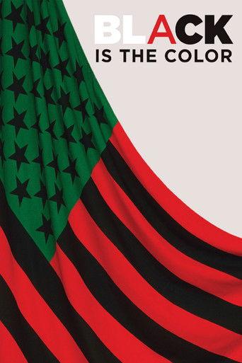 Black Is the Color: African-American Artists and Segregation film afişi