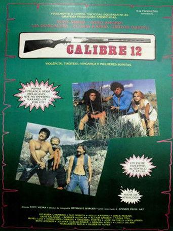 Calibre 12 film afişi