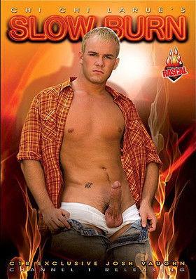 Slow Burn film afişi