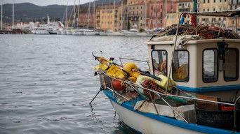 "Damocles" Anniversary-Season Episode 6