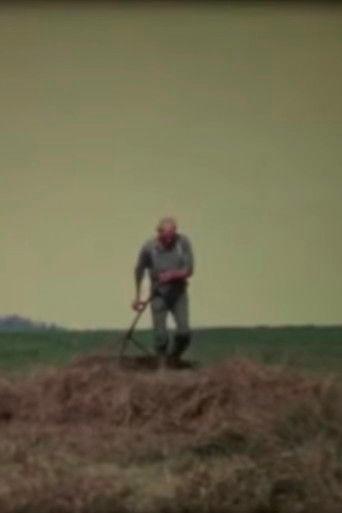 Rothenthurm film afişi