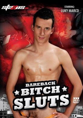 Bareback Bitch Sluts film afişi