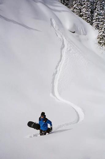 EVERGREEN. film afişi