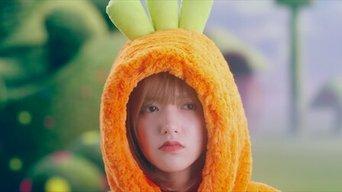 Official Team Photos