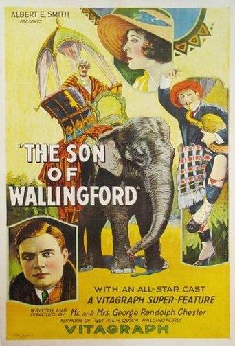 The Son of Wallingford film afişi
