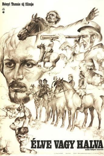 Dead or Alive film afişi