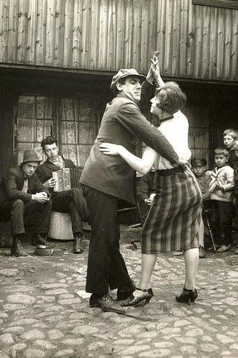 Fager er lien film afişi