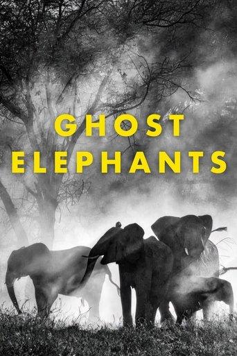 Ghost Elephants film afişi