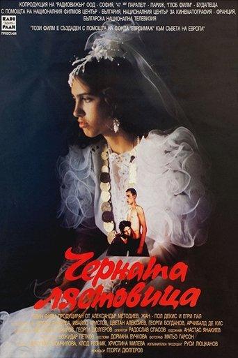 The Black Swallow film afişi