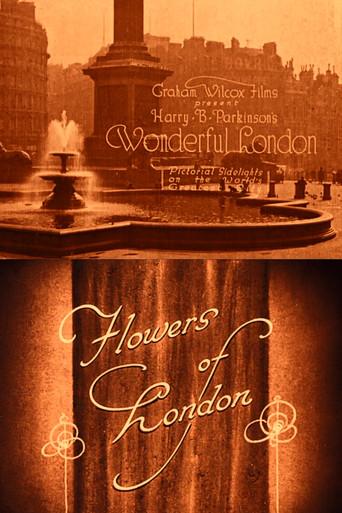 Wonderful London: Flowers of London film afişi