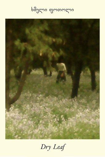 Dry Leaf film afişi