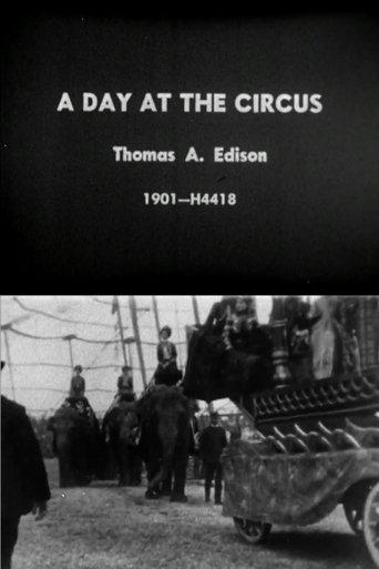 Day at the Circus film afişi