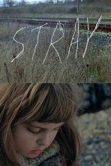 Stray film afişi