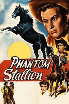 Phantom Stallion film afişi
