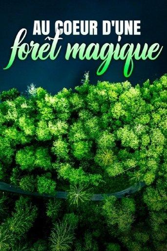 Au cœur d'une forêt magique film afişi