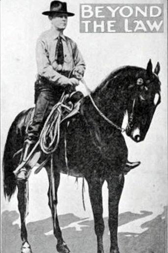 Beyond the Law film afişi