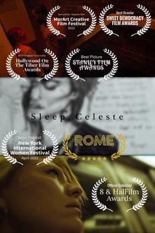 Sleep, Celeste film afişi