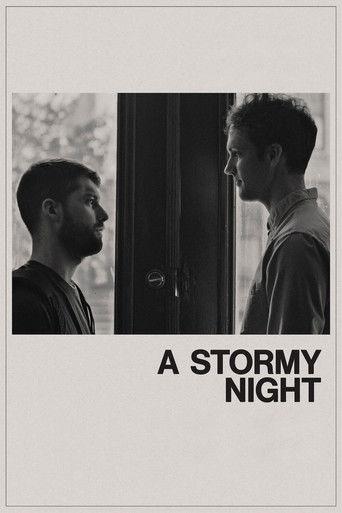 A Stormy Night film afişi