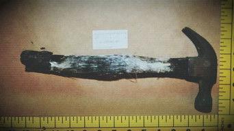 Mystery in the Blueberry Fields