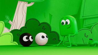 Shades of the Forest