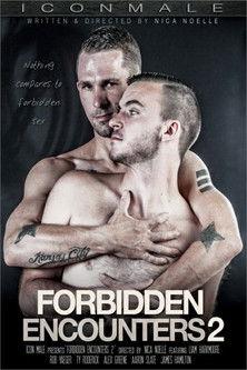 Forbidden Encounters 2 film afişi