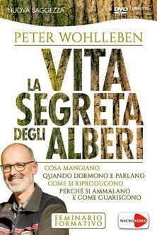 La vita segreta degli alberi film afişi