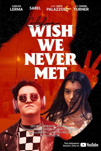 Wish We Never Met film afişi