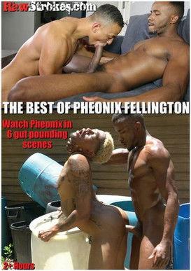 The Best of Pheonix Fellington film afişi
