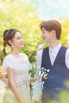 我被沐总宠哭了 dizi afişi