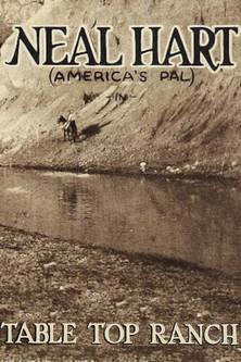 Table Top Ranch film afişi