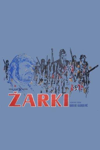 Zarki film afişi