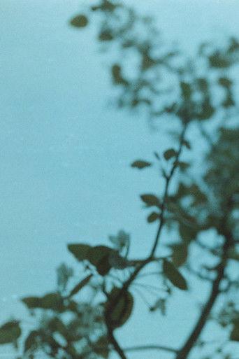 Ideal and reality film afişi