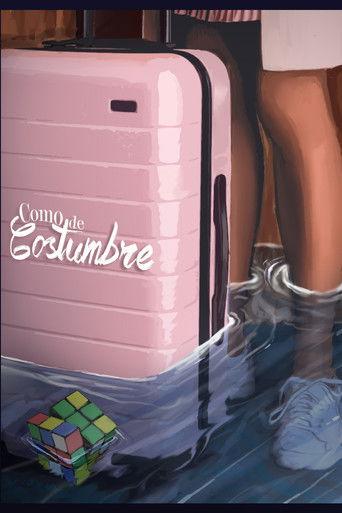 Like We Used To film afişi